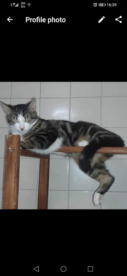Akinci Pet Care Consulting Ltd. - Pet Shop in Bournemouth