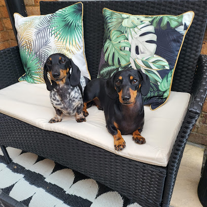 Little Paws Pet Club - Pet Shop in Bournemouth