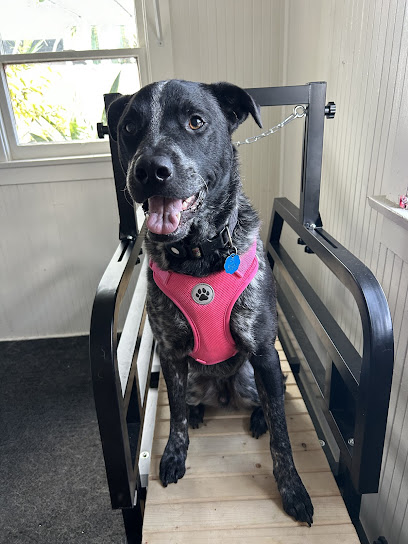 Madeline's Dog Retreat