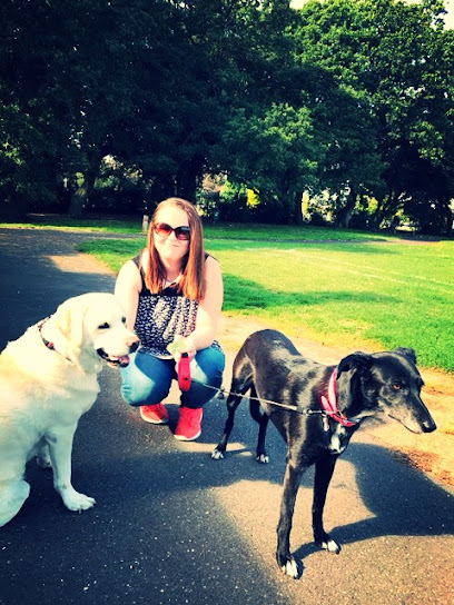 Furry Paws Pet Care - Pet Shop in Bournemouth