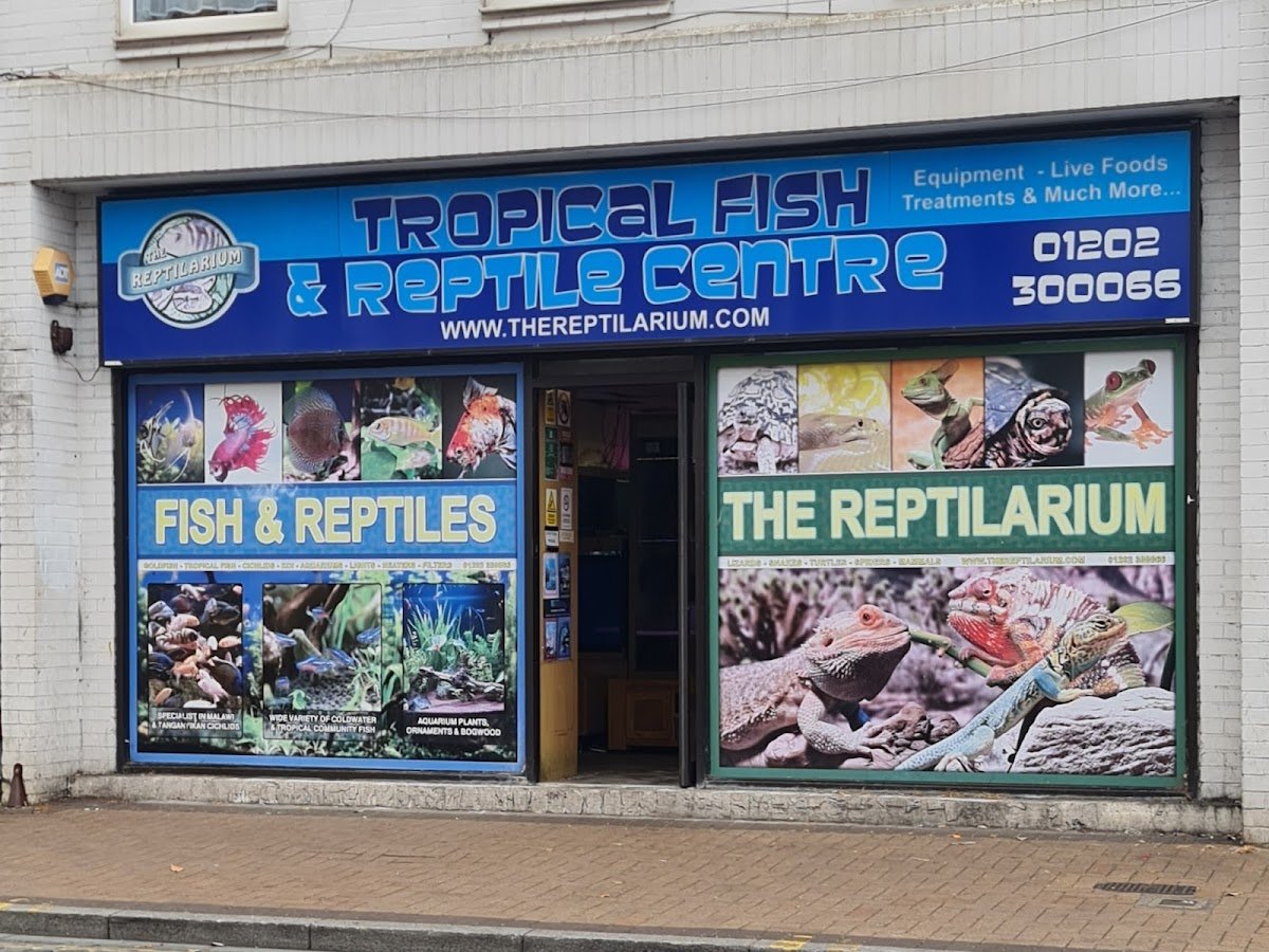 The Reptilarium - Photo 2