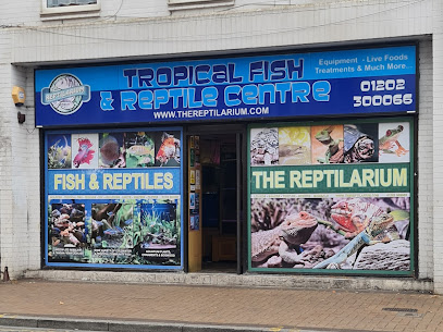The Reptilarium - Pet Shop in Bournemouth