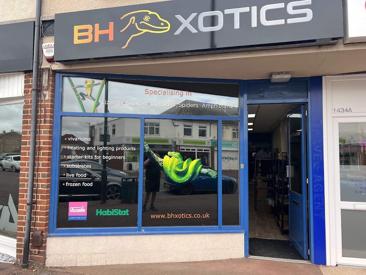 BH Xotics - Photo 2