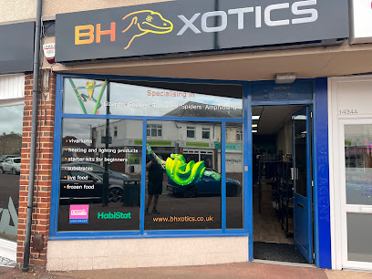 BH Xotics - Pet Shop in Bournemouth