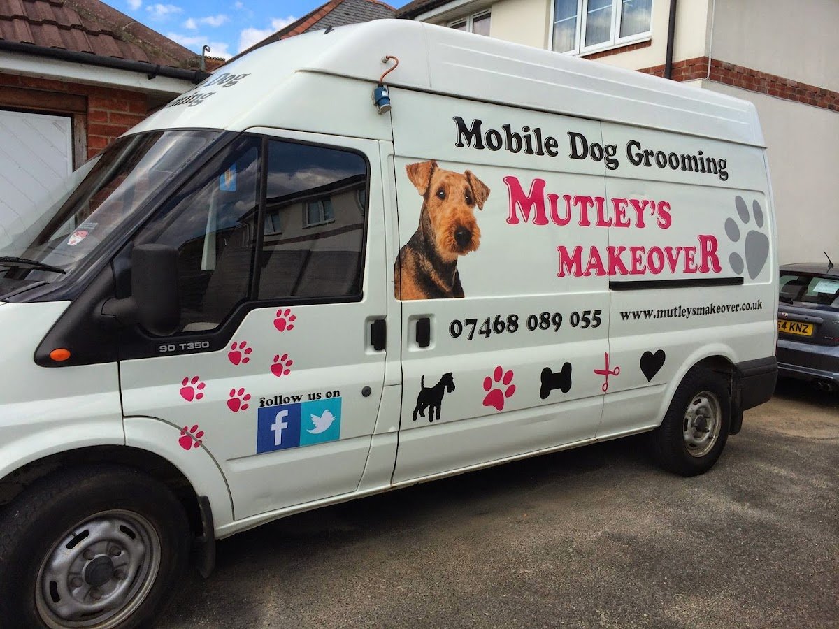 Mutleys Makeover - Photo 2