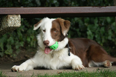 Paws and more... - Pet Shop in Bournemouth