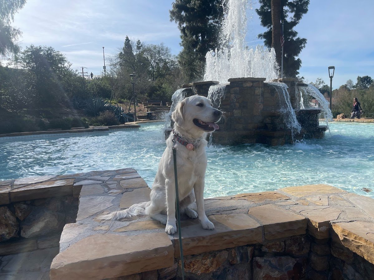 OffLeash SoCal - La Habra Heights - Photo 2