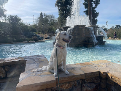 OffLeash SoCal - La Habra Heights - Pet Shop in Long Beach