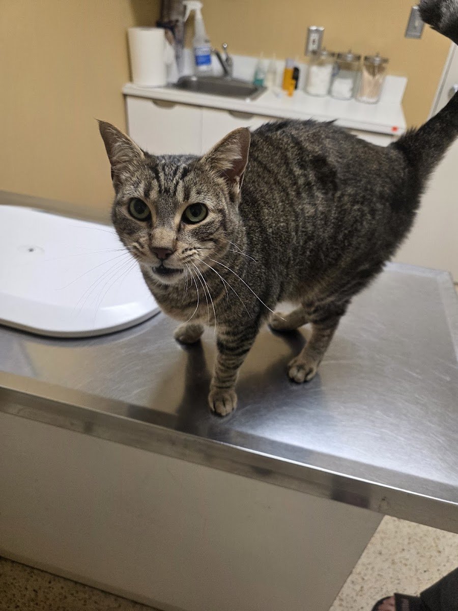 Golden State Humane Society - Photo 2