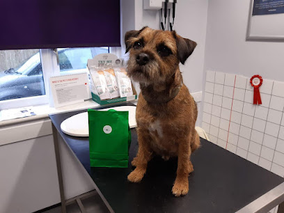 Lynwood Veterinary Group, Bournemouth - Pet Shop in Bournemouth