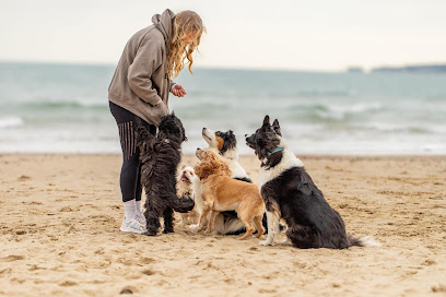 Out & About Dog Walking Ltd - Pet Shop in Bournemouth