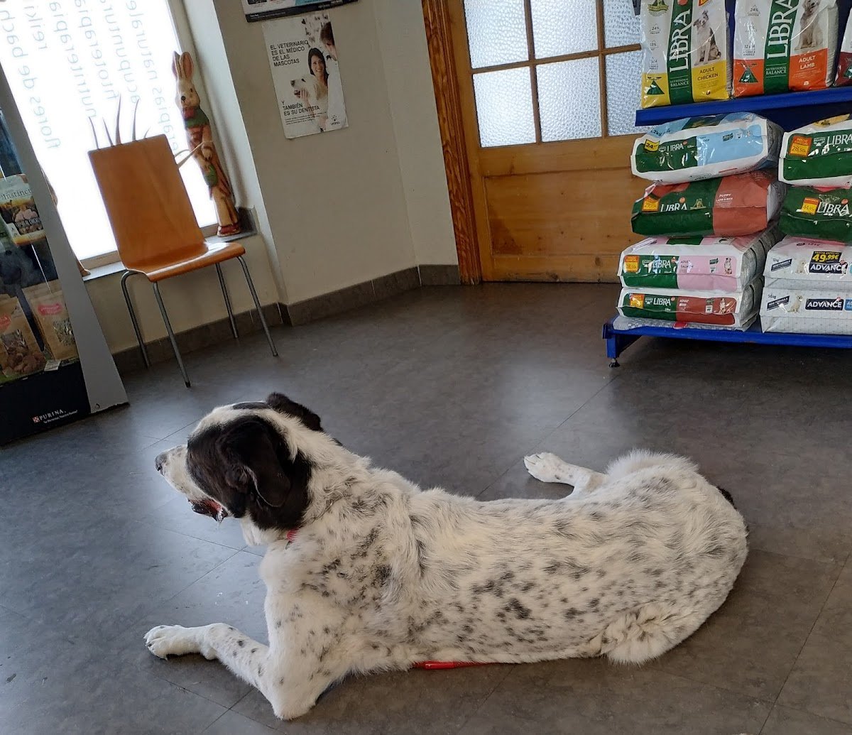 Clínica veterinaria Las Gabias