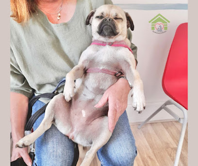 Stokewood Veterinary Clinic - Pet Shop in Bournemouth