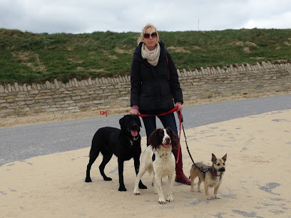 Bournemouth 4 Paws