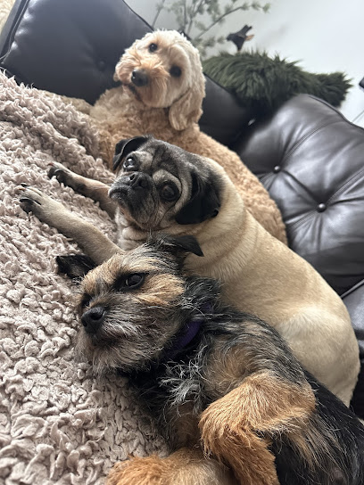 The Snuggle Inn Home Boarding and Day Care - Pet Shop in Bournemouth