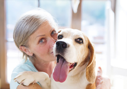 PetStay Dorset and Bournemouth - Pet Shop in Bournemouth