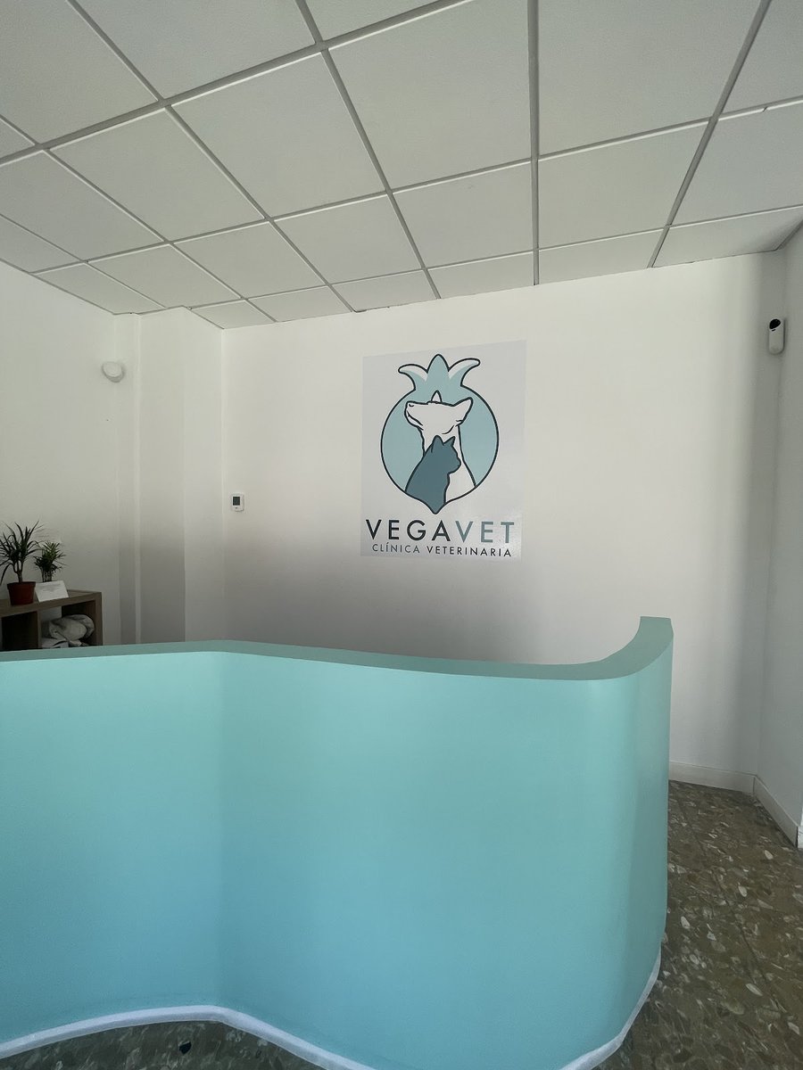 Centro Veterinario ARM - Churriana - Urgencias 24h Tlf.664 813 749