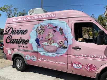 Divine Canine Spa - Pet Shop in Long Beach