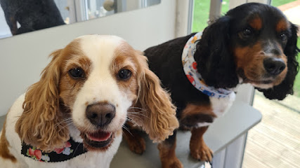 Scruff to Fluff - Dog Groomers - Colchester
