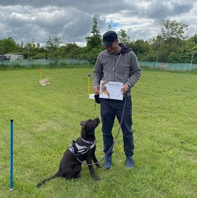 Best Behaviour Dog Training - Colchester