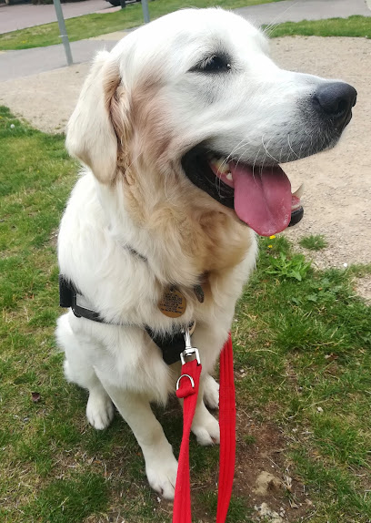 In-Paws to Out-Paws - Pet Shop in Colchester