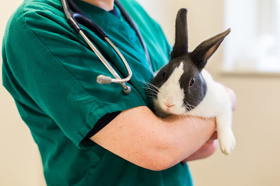Paws Colchester Veterinary Centre - Pet Shop in Colchester
