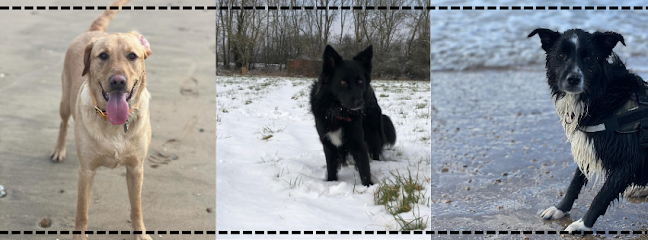 Bubbles and Bark Mobile Dog Grooming - Pet Shop in Colchester