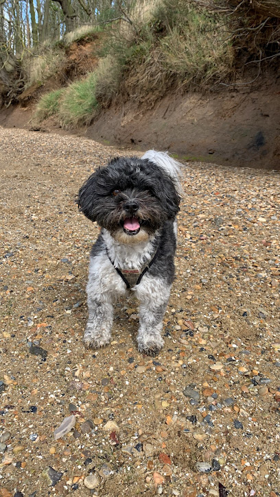 Winston's Woof Pack - Pet Shop in Colchester