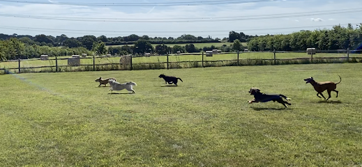 Country Canines - Pet Shop in Colchester