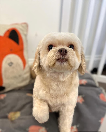 The Fox's Den 1:1 Dog Grooming