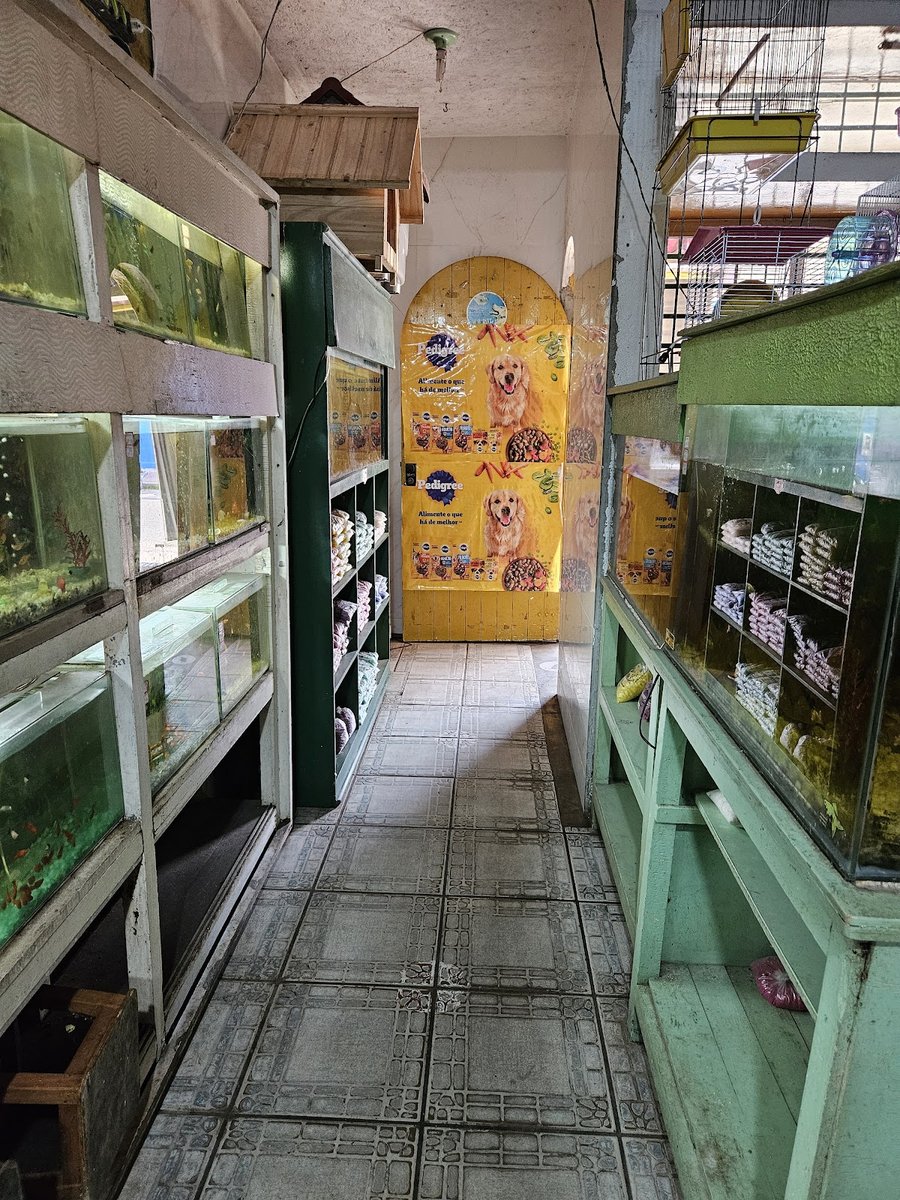 Aquariart - Mossoró