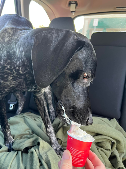 Sophie's Pet Services LLC