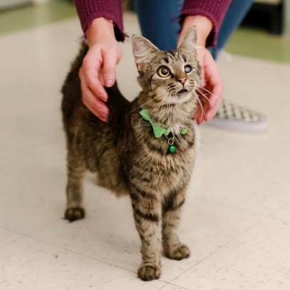 Hope For Life Rescue