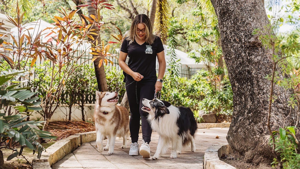Thrive & Trust K9 Training - Photo 2