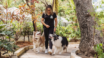 Thrive & Trust K9 Training