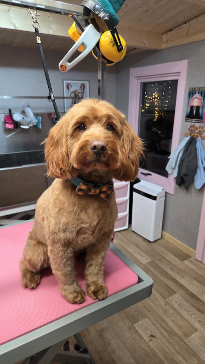 Fluff Happens grooming - Pet Shop in Colchester