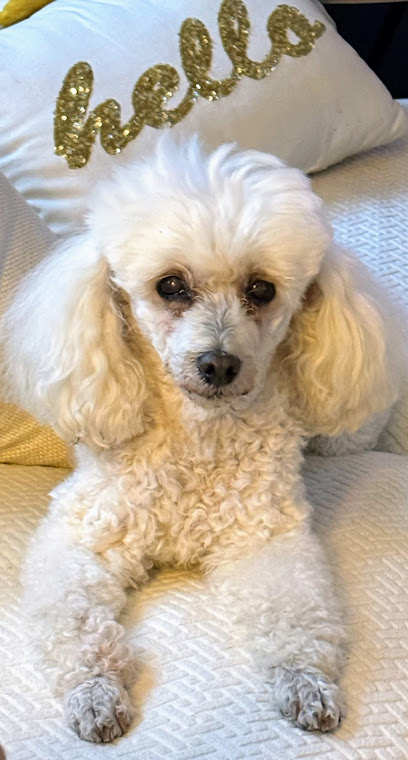 General Booth Veterinary Hospital