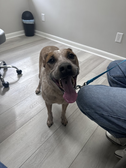 Ally Urgent Veterinary Care