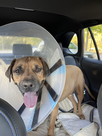 BluePearl Pet Hospital Town Center