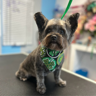 Blue Dog Pet Grooming - Pleasure House