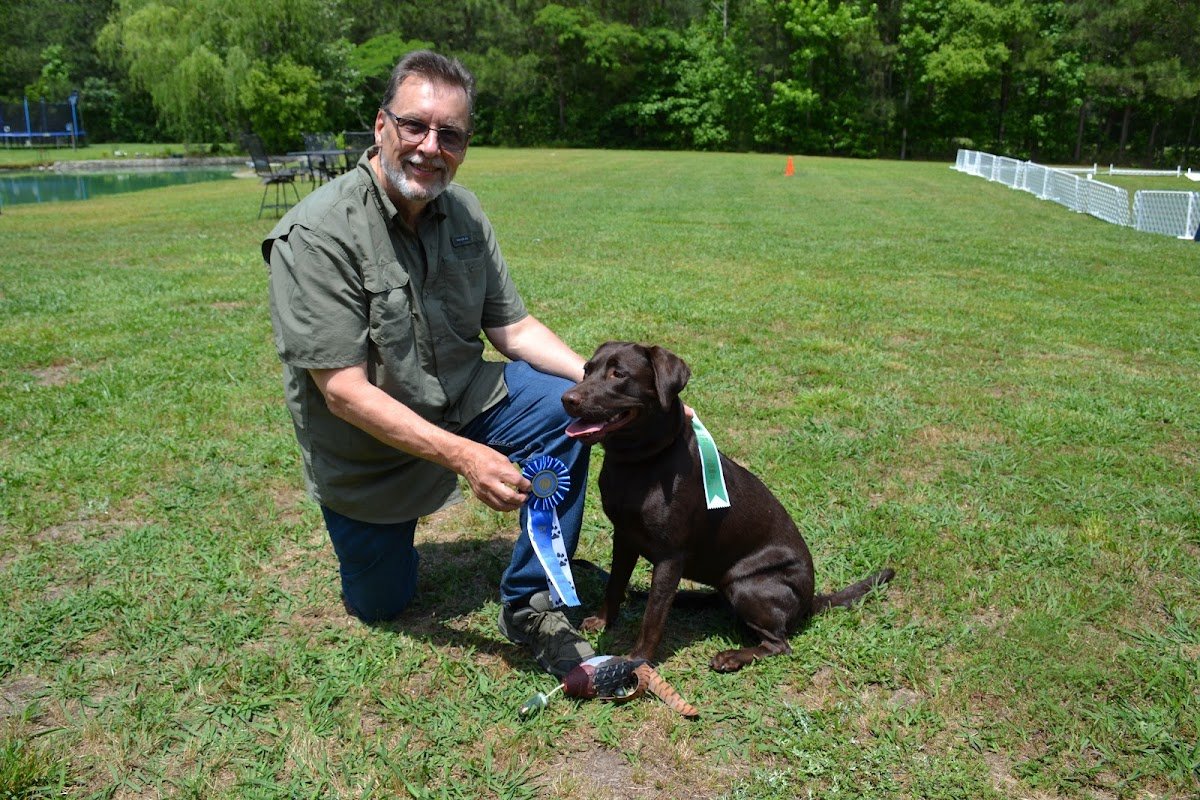Dog Gone Good Dog Training - Photo 2