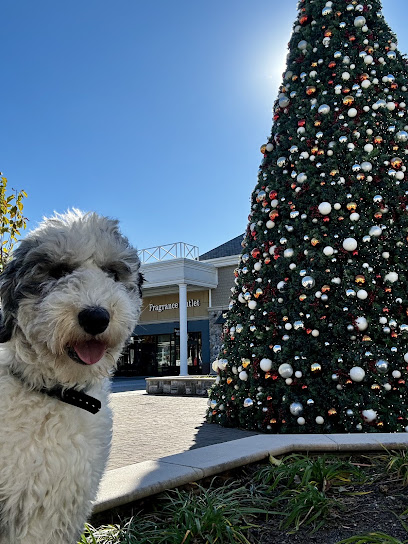 K9 Obedience Unleashed
