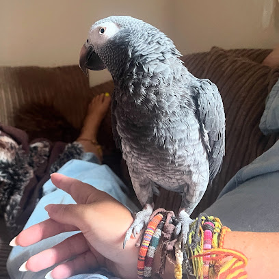 Beaky Minders Pet Boarding - Pet Shop in Colchester