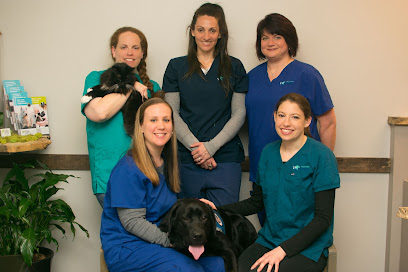 Coastal Virginia Veterinary Dermatology - Pet Shop in Virginia Beach