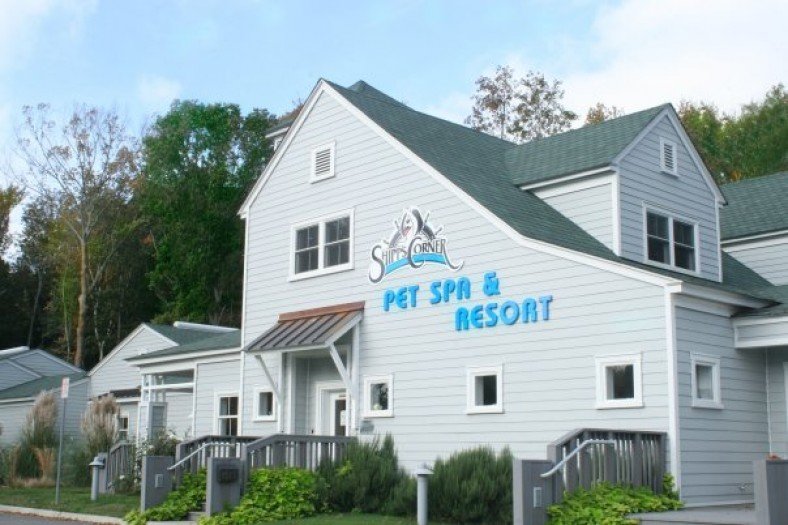 Shipp's Corner Pet Spa & Resort - Photo 2