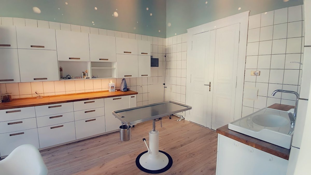 Tierarztpraxis KöNig GmbH - Foto 2