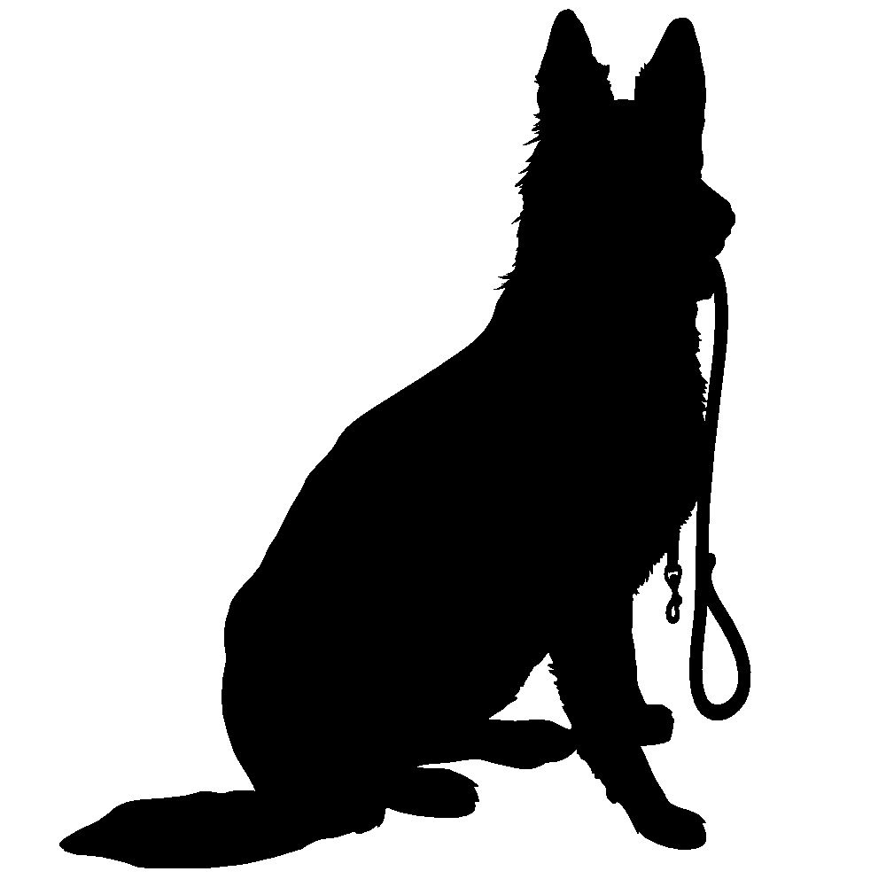 Hundeservice-Friedrichshain - Foto 2