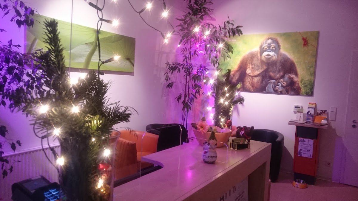 Tierarztpraxis Dr. Miriam Oczipka - Foto 2