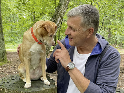 Hundetrainer | Stefan Thal - Tierhandlung in Berlin