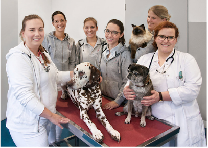 Kleintiermedizin am Lützowufer